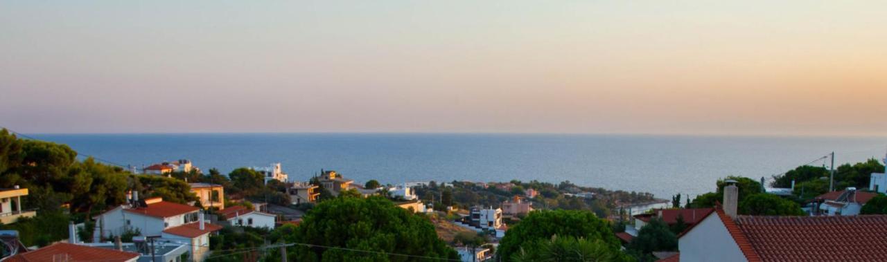 Villa Apex With Seaview Lagonísi Eksteriør bilde